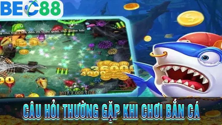 Giải đáp thắc mắc thường gặp khi chơi bắn cá
