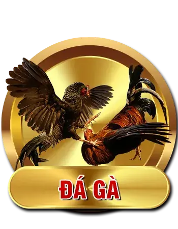 cock bec88